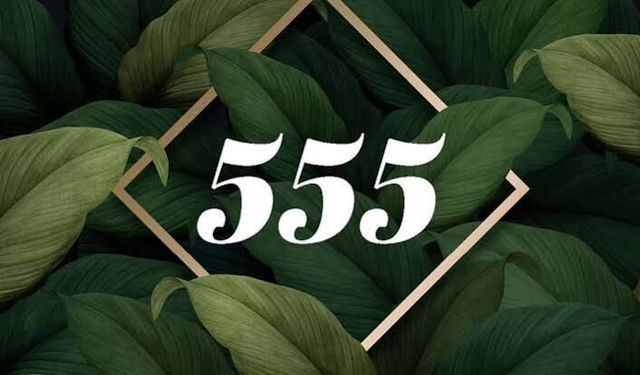 555K Olayı Nedir?