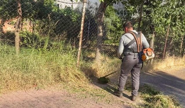 Kaldırımlardaki Yabani Otlar Temizleniyor