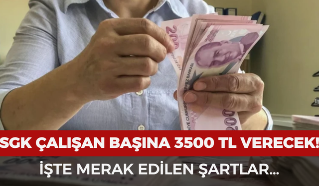 SGK'dan İşverenlere Çalışan Başına 3.500 TL Destek! 8 Ay Boyunca Ödenecek: İşte Şartlar ve Ödeme Detayları
