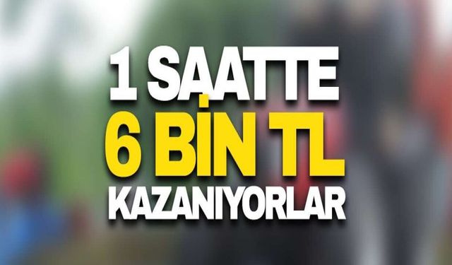 1 Saatte 6 Bin TL Kazanıyorlar! Karadeniz'de Yılın En Kazançlı Mesleğinin Saatlik Ücreti Belli Oldu