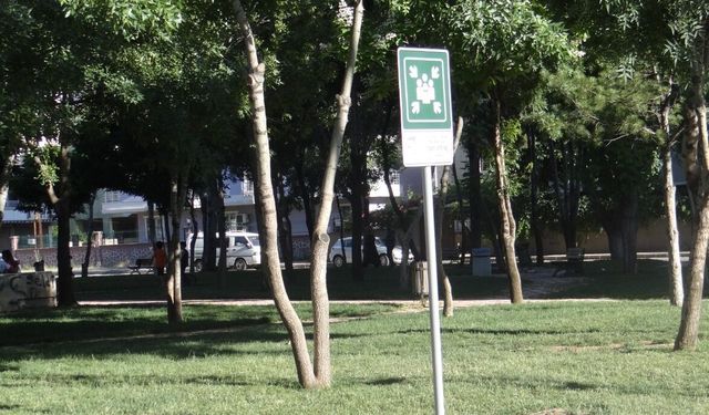 Afet İşleri Ekipleri Güvenli Toplanma Noktaları İçin Sahada
