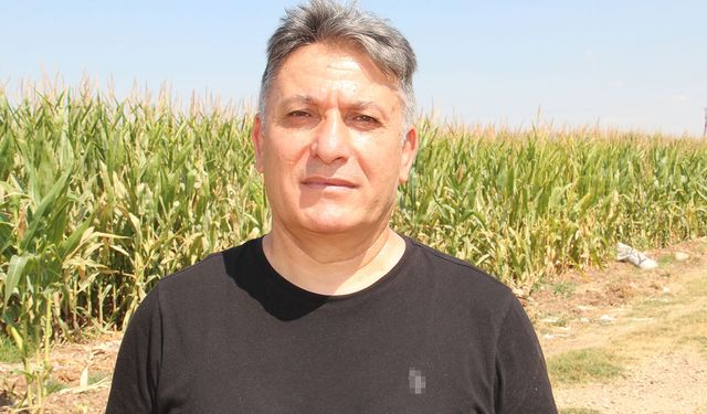 Batman’da Ayçiçeği Projesi İçin Kritik Uyarı: “Pazar Yoksa Üretici Alışmaz”
