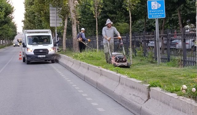 Bulvarda Yabani Ot Temizliği