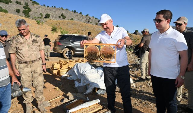 Helkıs Dağı'nda Şifa Hasadı! Sason Sütleğen Balında İlk Büyük Hasat Coşkusu