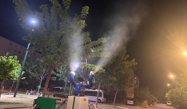 Yaz Mevsiminde İlaçlama Çalışmaları Aralıksız Sürüyor