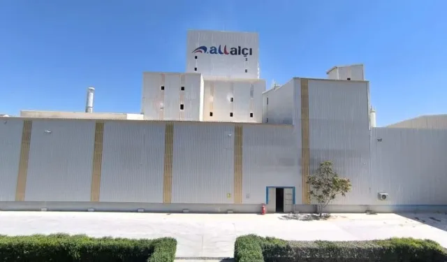 All Alçı Halka Arz: All Alçı Ne Zaman, Kaç Lot, Kaç TL?