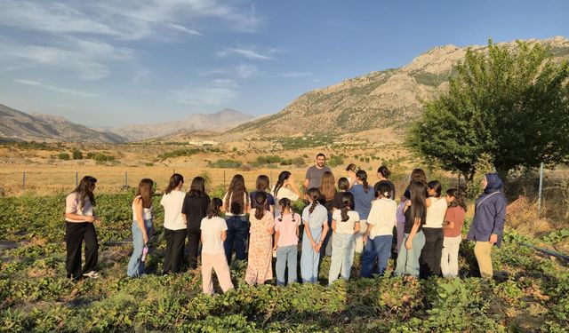 Çilek Bahçesinde Renkli Bir Gün