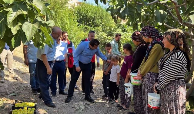 Hasankeyf’in altın meyvesinde 360 tonluk bereket