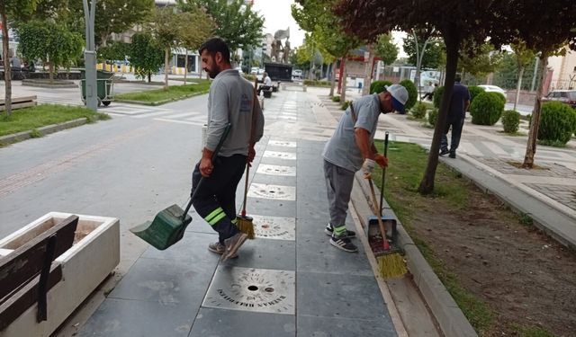 Kent Genelinde Hummalı Temizlik Çalışması