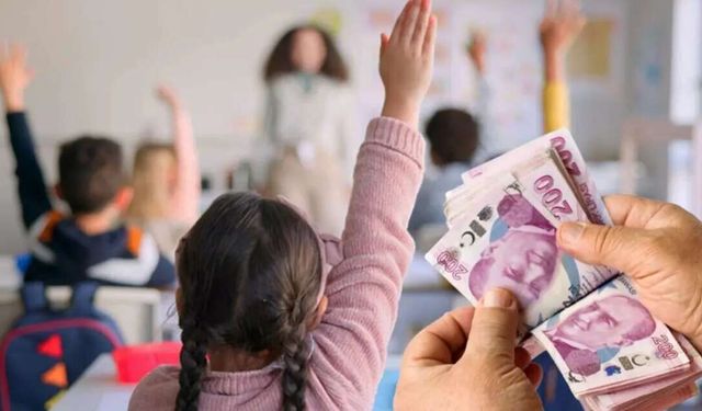 SED Eğitim Desteği Başvurusu Nasıl Yapılır, 11 Bin 866 TL Kimlere Verilir ve e-Devlet Ekranı Şartları Nelerdir?