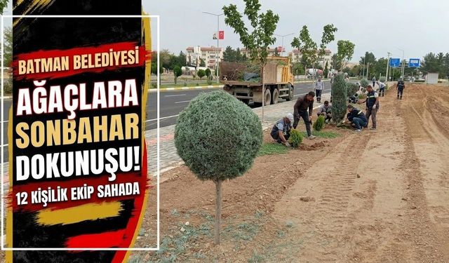 Ağaçlara Sonbahar Dokunuşu! 12 Kişilik Ekip Sahada