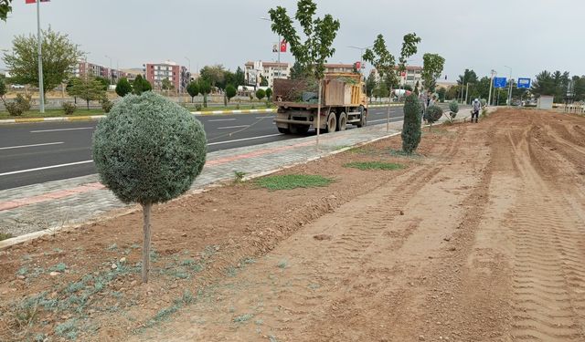 Ağaçlara Sonbahar Dokunuşu! 12 Kişilik Ekip Sahada