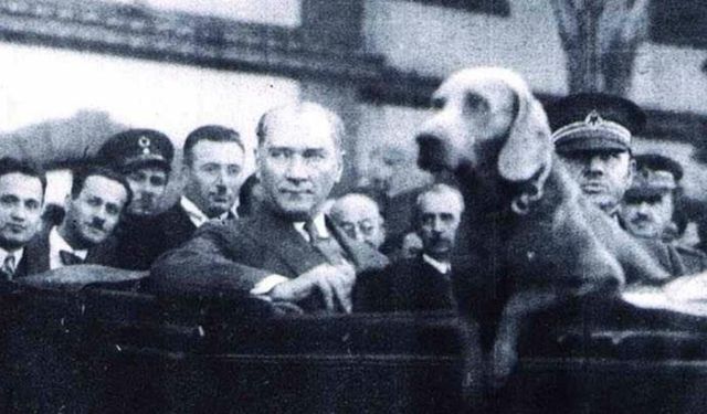 Atatürk’ün Köpeğinin Adı Nedir? En Çok Sevdiği Köpeği Hangisidir? Foks Nerede Sergileniyor?