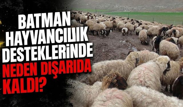 Batman Hayvancılık Desteklerinde Neden Dışarıda Kaldı?