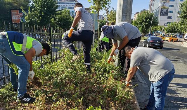 Batman’da Kent Estetiği İçin Yeşil Alanlarda Bakım Çalışması