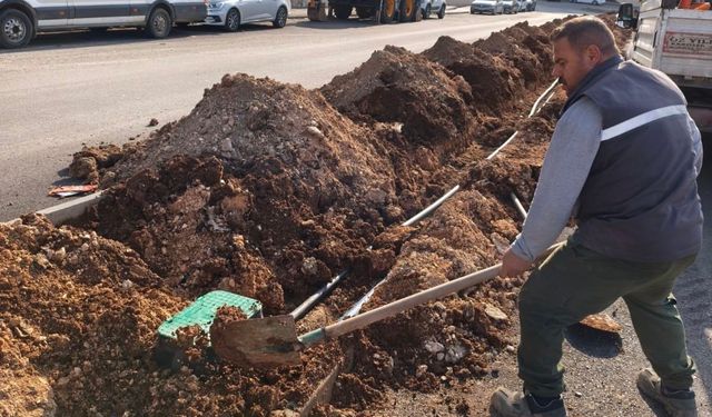Batman’da Park ve Yeşil Alanlarda Kış Hazırlığı