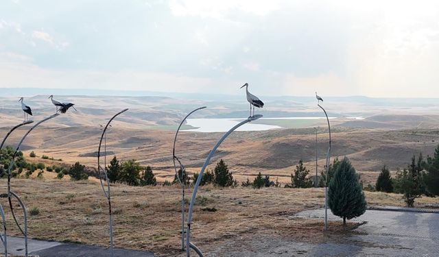 Göç yolundaki leylekler kampüsün konuğu oldu