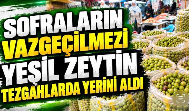 Sofraların Vazgeçilmezi Yeşil Zeytin Tezgâhlarda Yerini Aldı