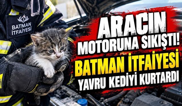 Batman’da Araç Motorunda Mahsur Kalan Yavru Kedi Kurtarıldı