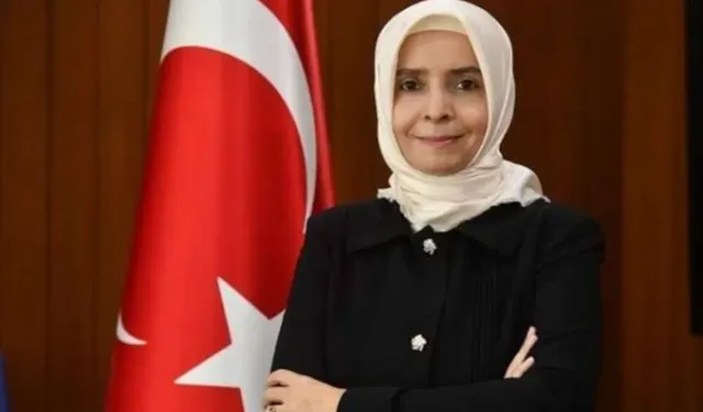 Finlandiya Büyükelçisi Ayşe Hilal Sayan Koytak Kimdir? Yaşı, Eğitimi ve Diplomatik Kariyeri