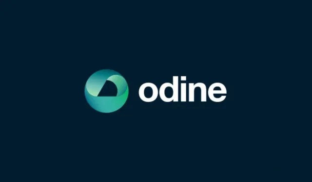 Odine Hisse Neden Çöktü? Yatırımcıları Ağır Zarara Uğratan Soruşturmanın Detayları Ne? Şirket Yöneticileri Neden Tutuklandı?