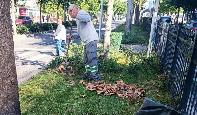 Tertemiz Bir Batman İçin Seferber Oldular