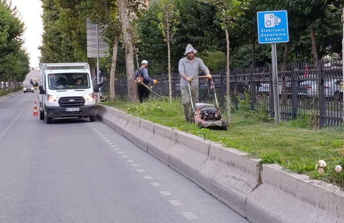 Bulvarda Yabani Ot Temizliği