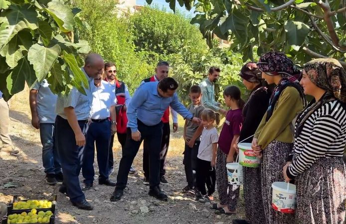 Hasankeyf’in altın meyvesinde 360 tonluk bereket