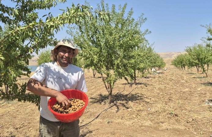 Orman köylüsüne verilen hibe desteği üretime dönüştü