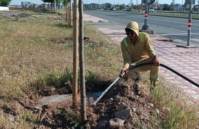 Yeşil Kuşak’ta Sonbahar Bakımı Başladı