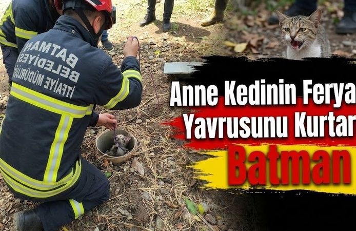 Anne Kedinin Feryadı Yavrusunu Kurtardı
