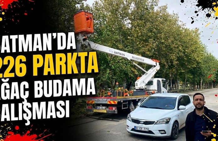 Batman’da 226 Parkta Ağaç Budama Çalışması