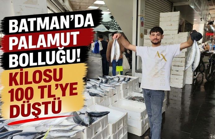 Batman’da Palamut Bolluğu! Kilosu 100 TL’ye Düştü