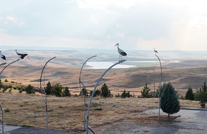 Göç yolundaki leylekler kampüsün konuğu oldu