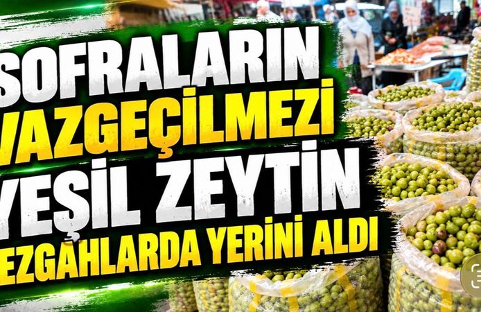 Sofraların Vazgeçilmezi Yeşil Zeytin Tezgâhlarda Yerini Aldı