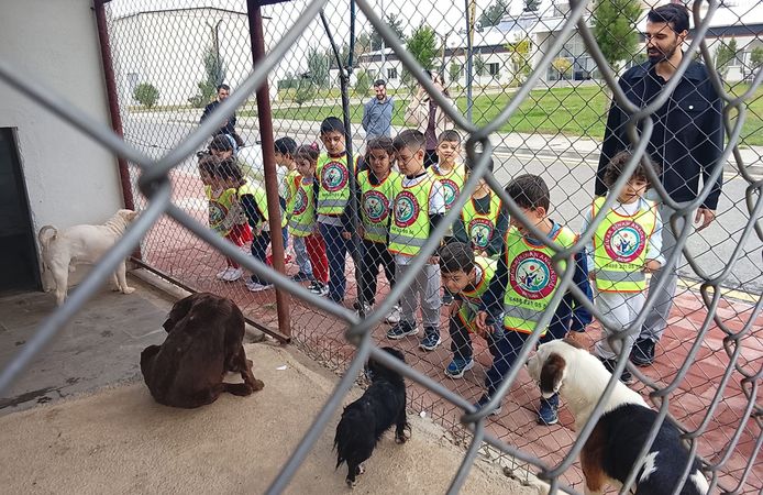 Minik Öğrencilerden Can Dostlara Ziyaret