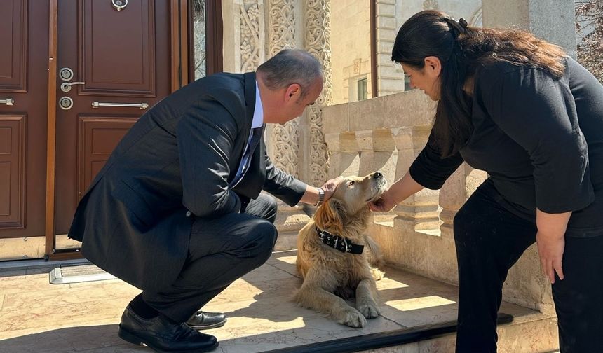 Batman Valisi sokak köpeğini sahiplendi