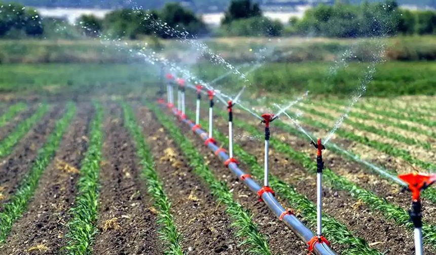 Çiftçilere 6 milyar liralık destek ödemesi bugün yapılacak