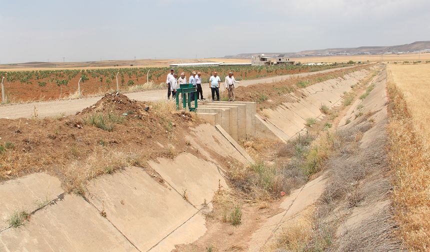 Binlerce dönüm arazi kuraklığa terk edildi