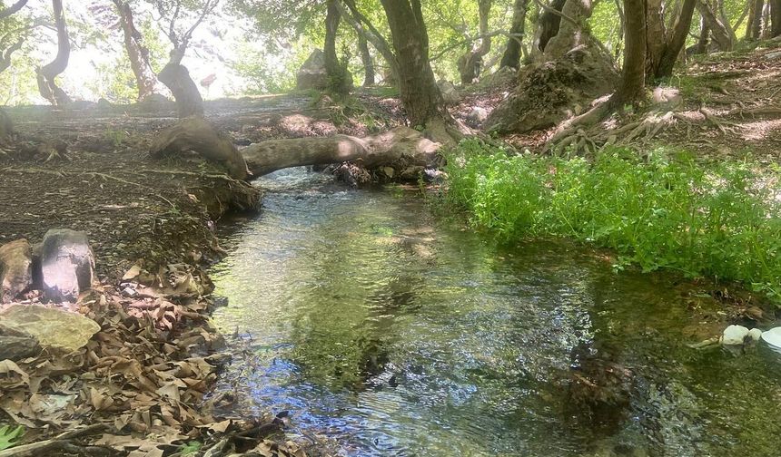 Kınalı’ya Doğayla Buluşma Noktası! Yeni Mesire Alanı 45 Günde Tamamlanıyor