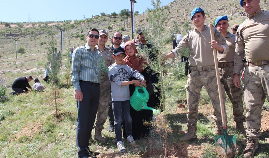 Gercüş’te Anne-Çocuk Ele Ele Fidan Dikti