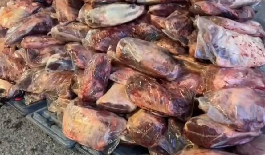 Şanlıurfa’da 1,7 ton kaçak et ele geçirildi