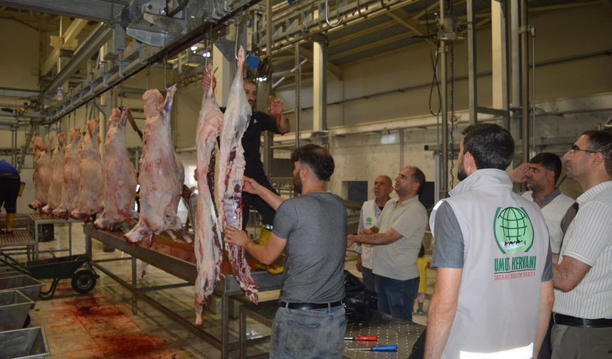 Umut Kervanı ve Yetimler Vakfı, Kurban Bayramı’nda yüzleri güldürdü