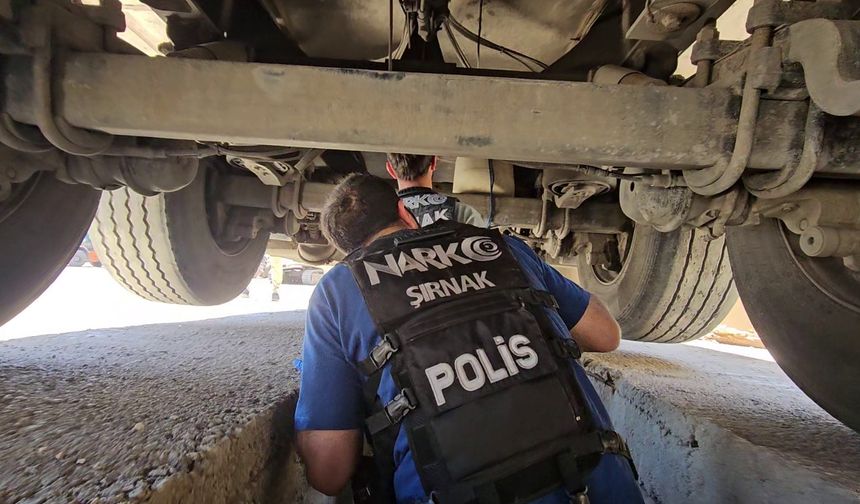 TIR'a gizlenmiş 30 kilogram uyuşturucuyu 'Hector' buldu