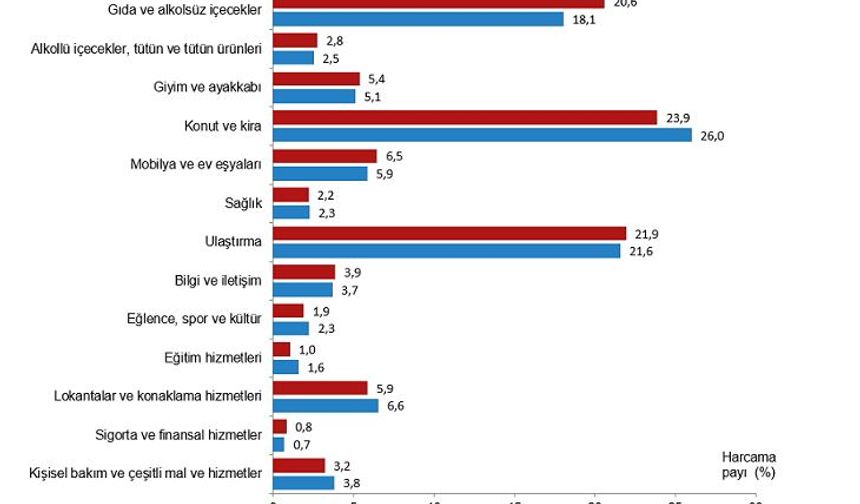 Hanehalkı bütçesinden en fazla pay konut ve kira harcamalarına ayrıldı