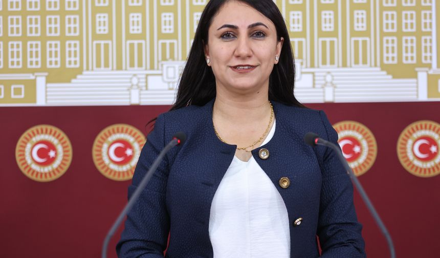 DEM PARTİLİ ODUNCU, MECLİSTE BATMAN’I ANLATTI