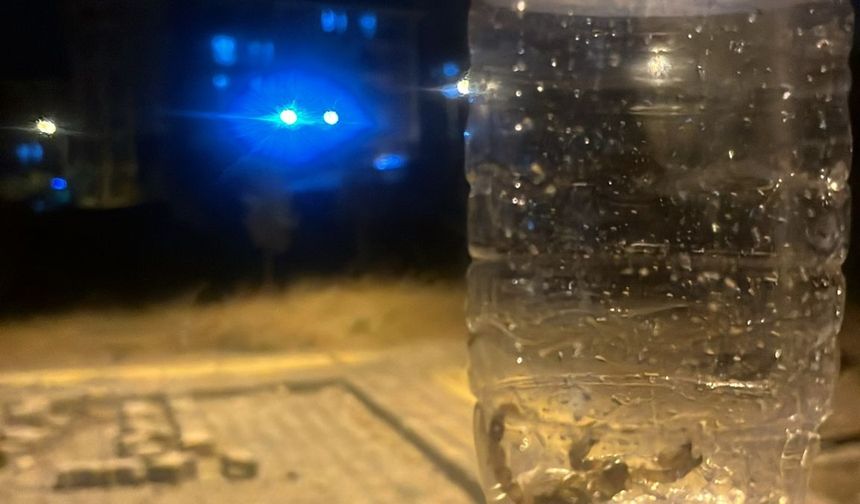 Batman Yenişehir Mahallesi’ni akrepler sardı