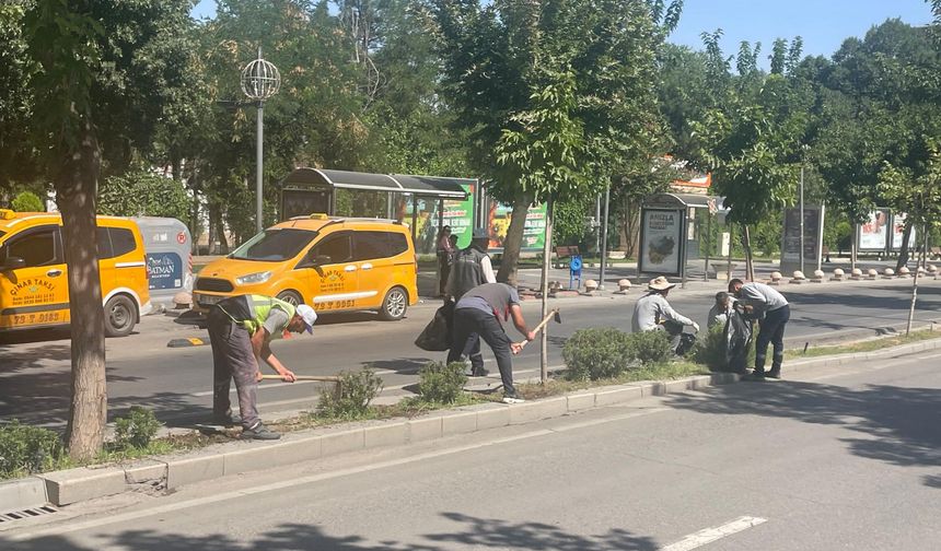 ANA ARTERLERDE KURU OTLAR TEMİZLENİYOR