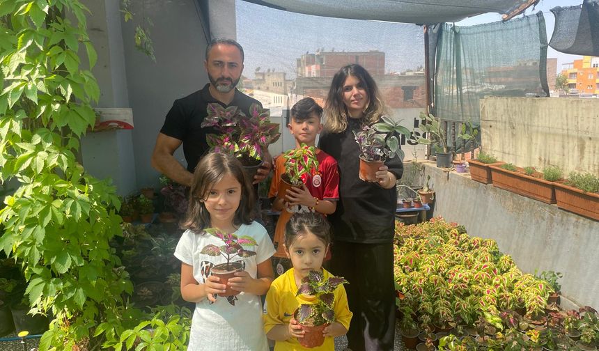 Savaştan Kaçtılar, Çiçeklerle Hayata Tutundular