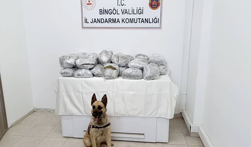 49 kilo 600 gram kubar esrar ele geçirildi